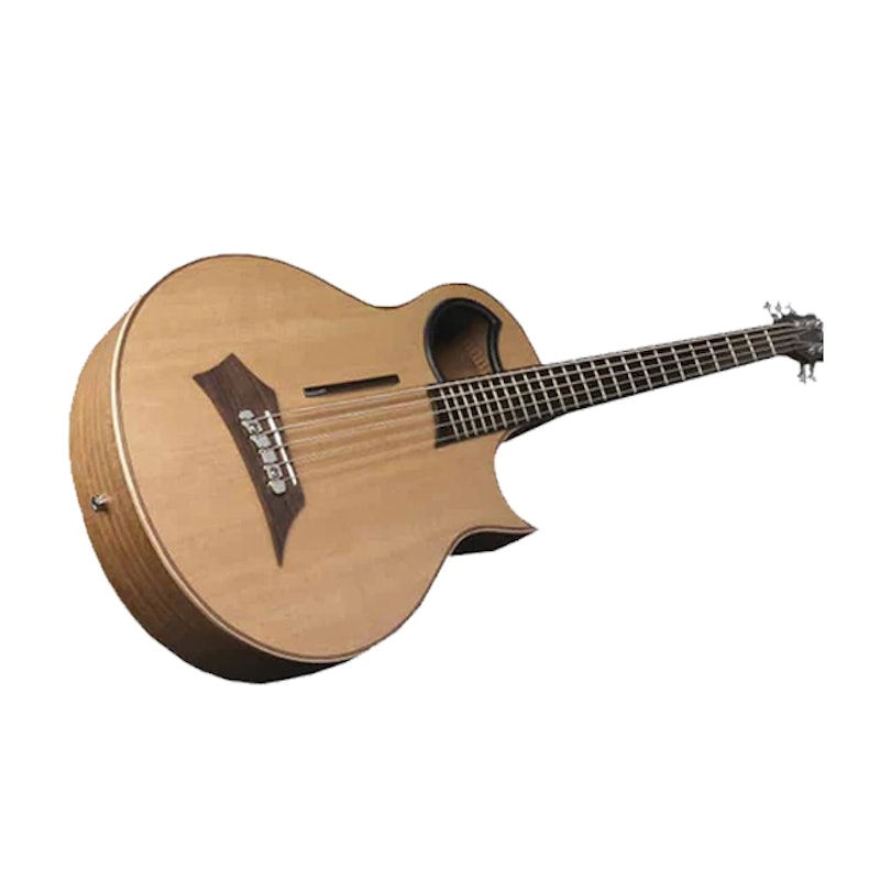 Alien Standard Acoustic Bass 5 String 2