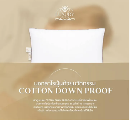 หมอนหนุน รุ่น Collagen CoolMax Standard Comfort  3