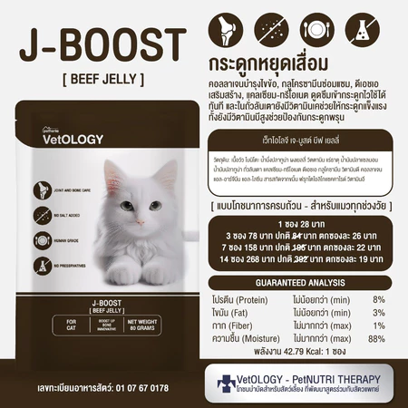 S-BOOST J 2