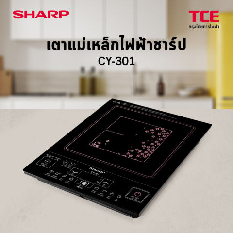 เตาแม่เหล็กไฟฟ้าแบบฝัง 2