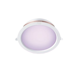 Downlight RGB Smart LED 1