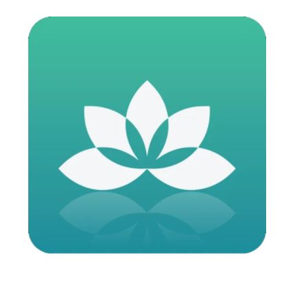 Yoga Studio: Mind & Body 1