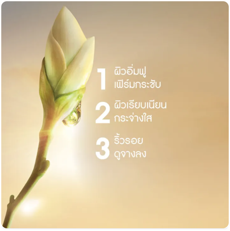 เซรั่มบำรุงผิวหน้า AntiAge Global The Bi-Phased Night Recovery Concentrate 3