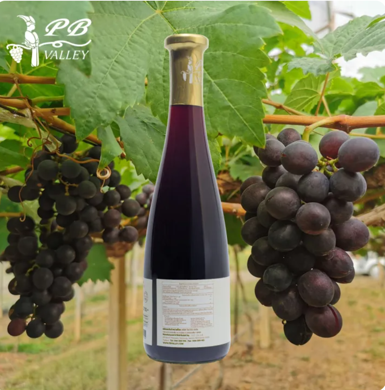 น้ำองุ่น Shiraz Grape Juice 2