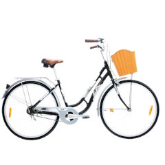 Colour Of Ride 26”