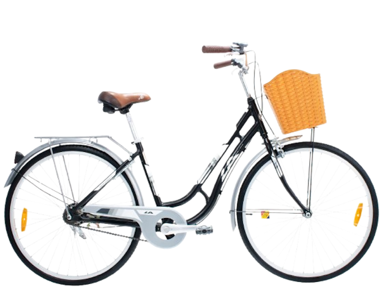 Colour Of Ride 26” 1