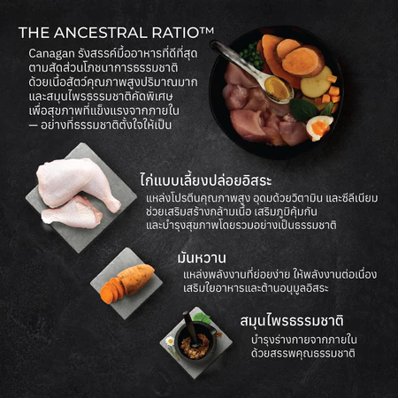 อาหารสุนัข พันธุ์เล็ก Free Range Chicken for Small Dogs 2