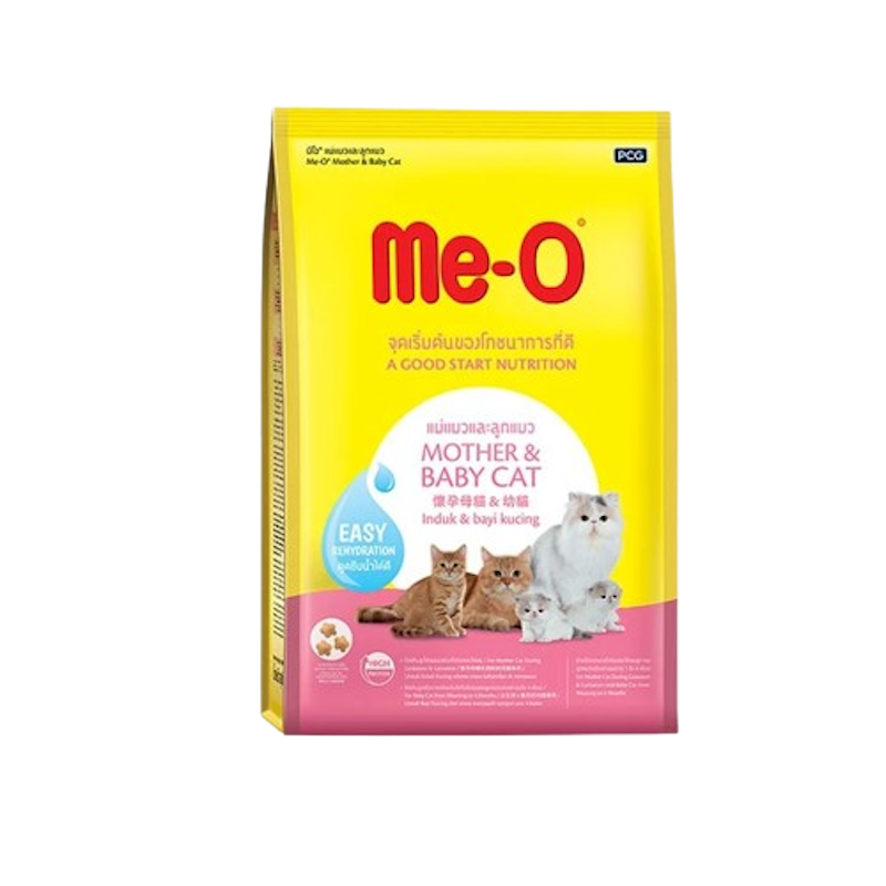 Mother & Baby Cats 1