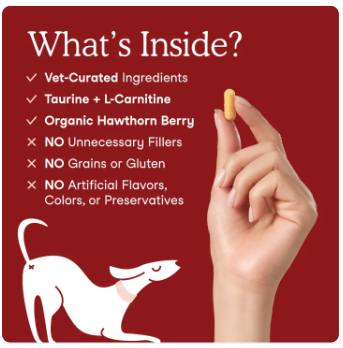 Pets Cardiac Support อาหารสุนัข 3