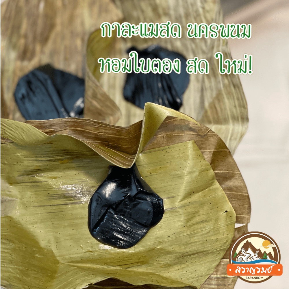 กะละแม นครพนม 3