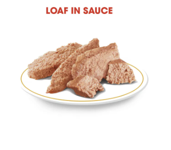 Chihuahua Adult Pouch Loaf 2