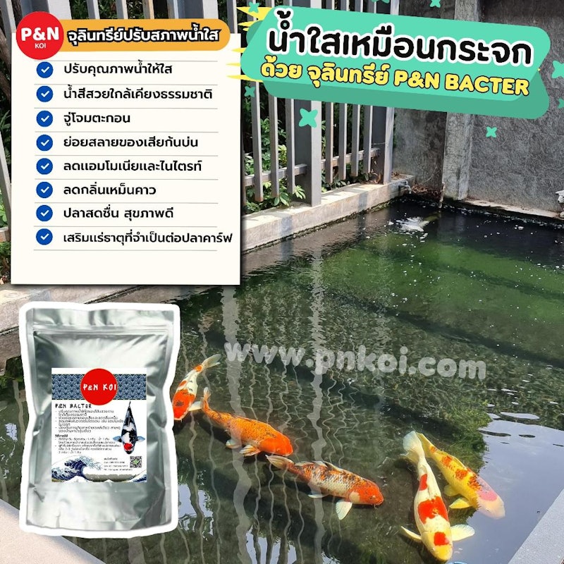 จุลินทรีย์ปรับสภาพน้ำใส 3