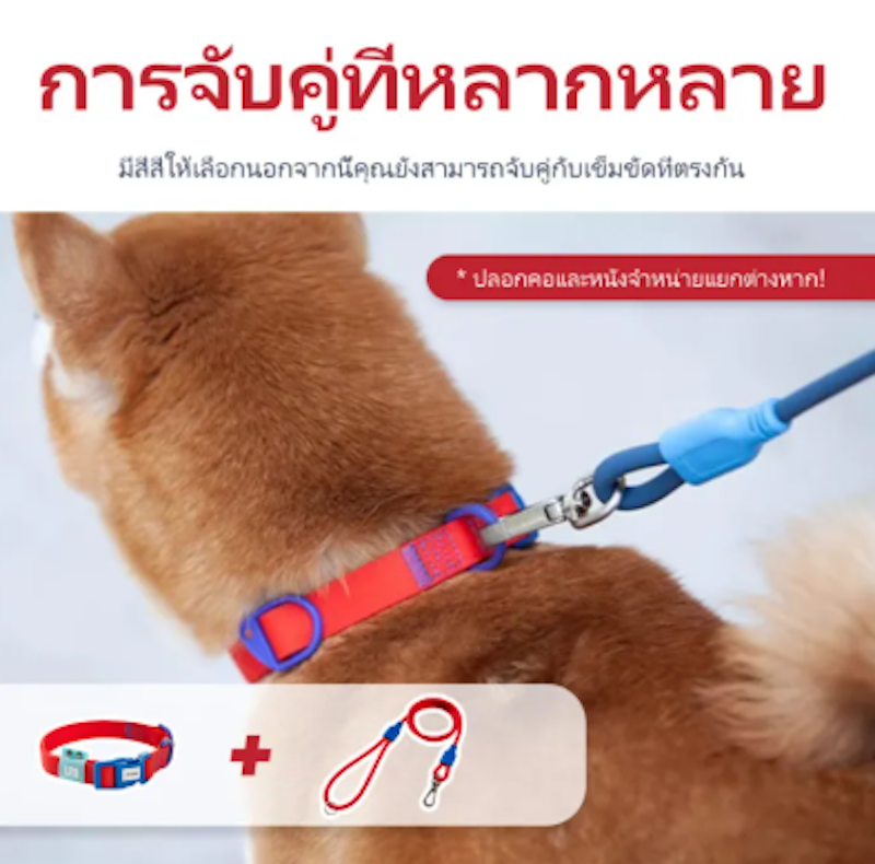 ปลอกคอสุนัขปรับได้ 2