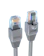 Randy สายแลน CAT6 1