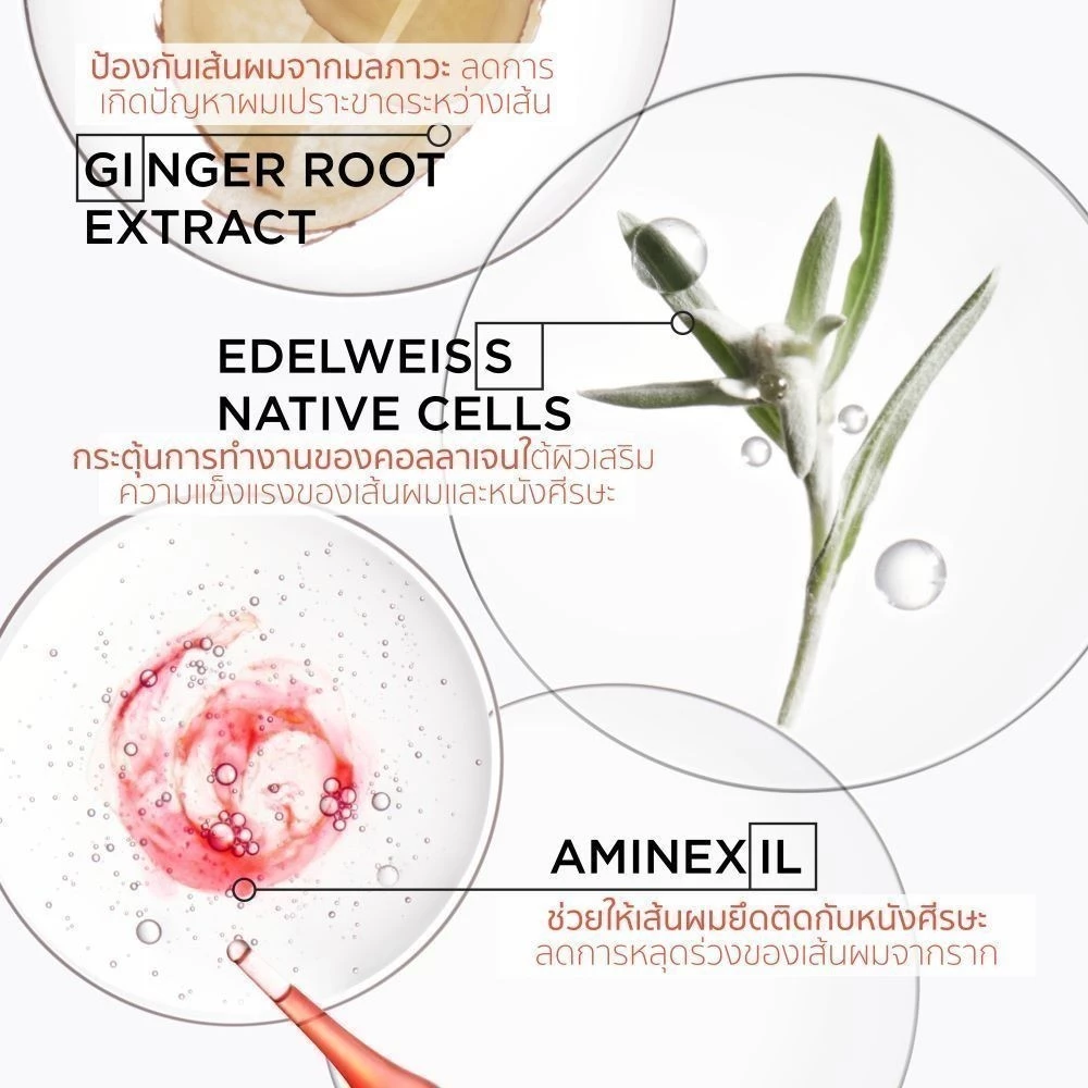 GENESIS Serum  2