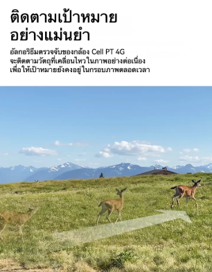  กล้องวงจรปิด รุ่น CELL PT 4G  2