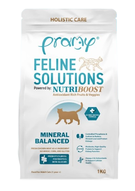 อาหารแมวสูตรเฉพาะทาง สูตรถนอมไต Feline Solutions 1