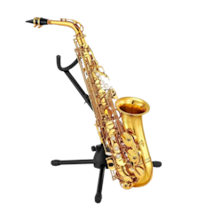 Student Gold Lacquer E Flat Alto Saxophone
