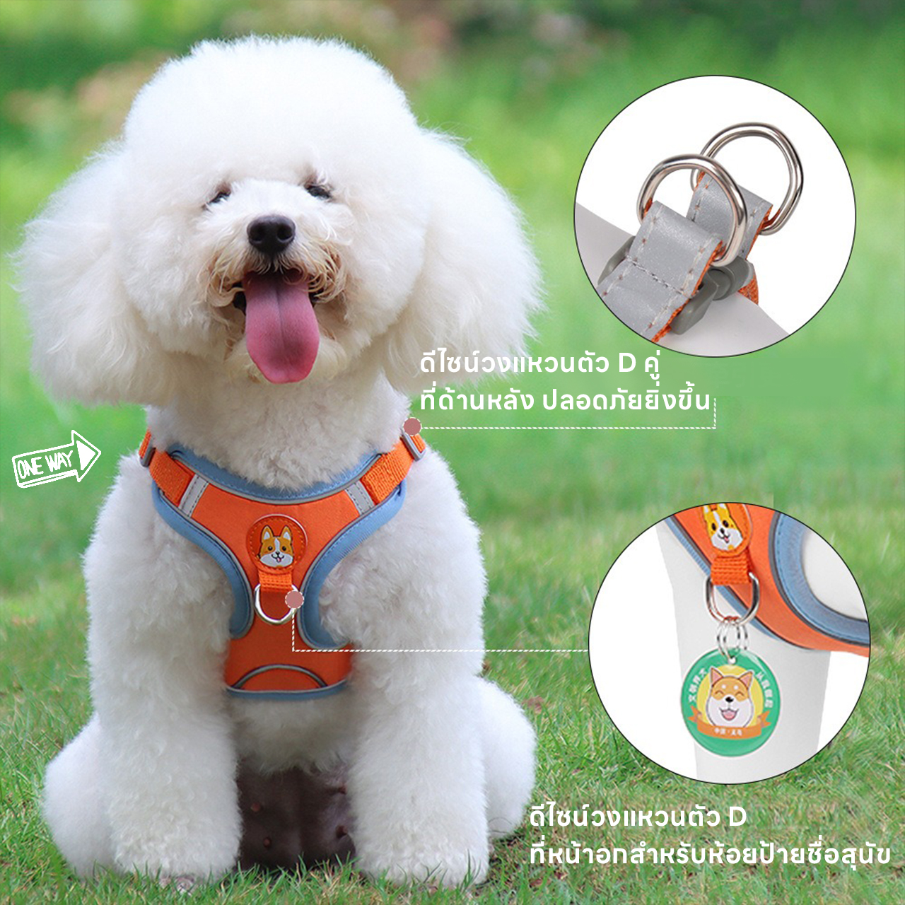 สายจูงสัตว์เลี้ยง Size XL 2