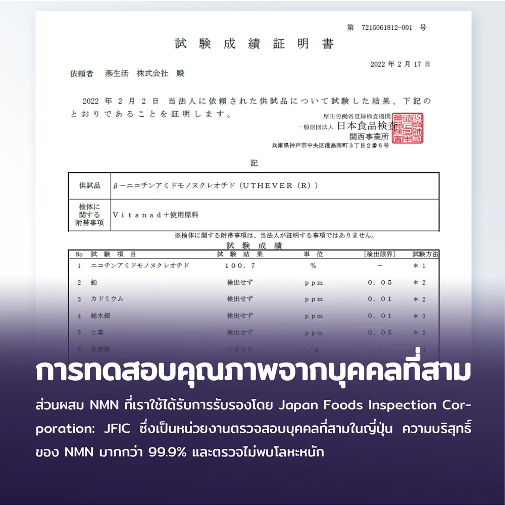 NMN 3