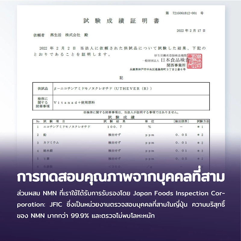 NMN 3