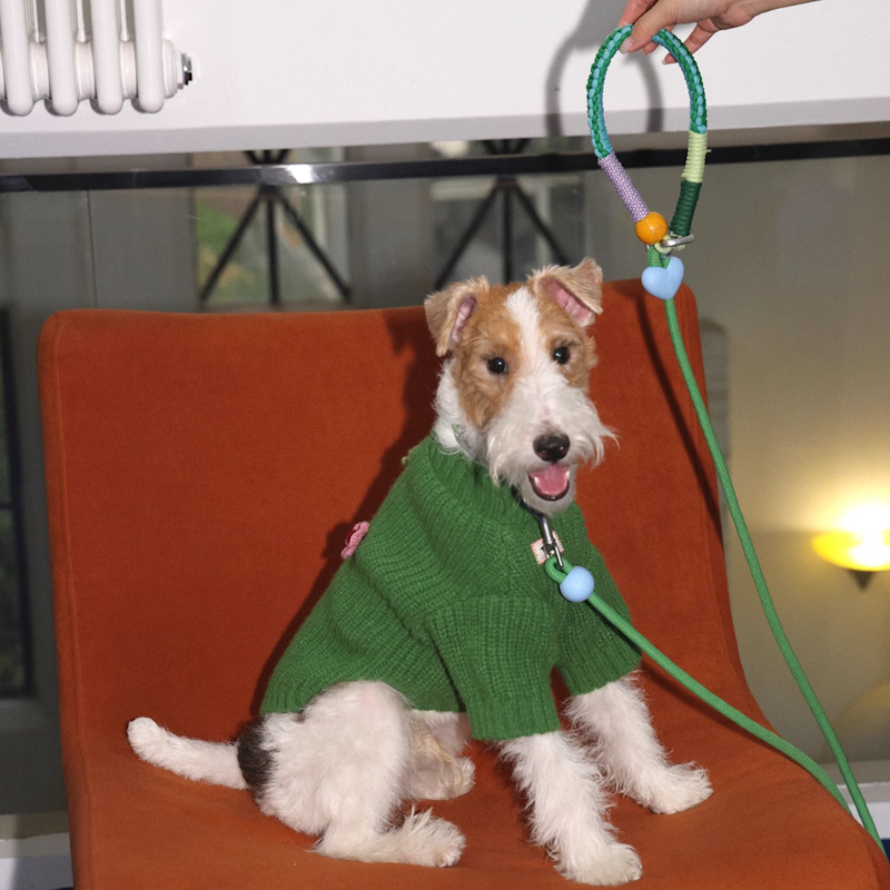 สายจูงสัตว์เลี้ยง Apple Pet Collar and Harness Signal Heart Pet Leashes 3