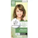 Liese ยาย้อมผมสีเขียว Creamy Bubble Color Mint Ash 1