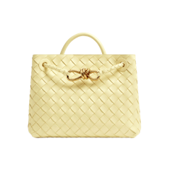 กระเป๋า BOTTEGA VENETA รุ่น Small Andiamo