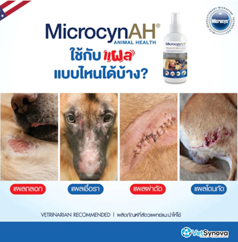 สเปรย์พ่นแผล Wound & Skin Care Spray 2