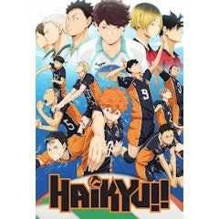 คู่ตบฟ้าประทาน (Haikyuu!!)