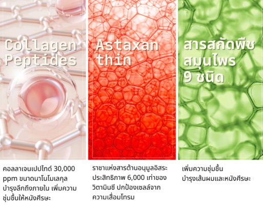 AstaCollagen Anti Hair Loss Aging Scalp Shampoo แชมพูคอลลาเจน 3