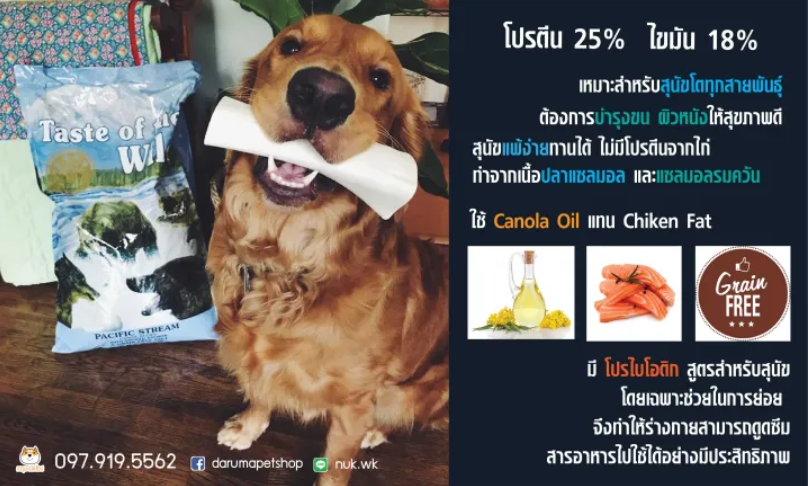 Pacific Stream Canine Recipe with Smoked Salmon 3