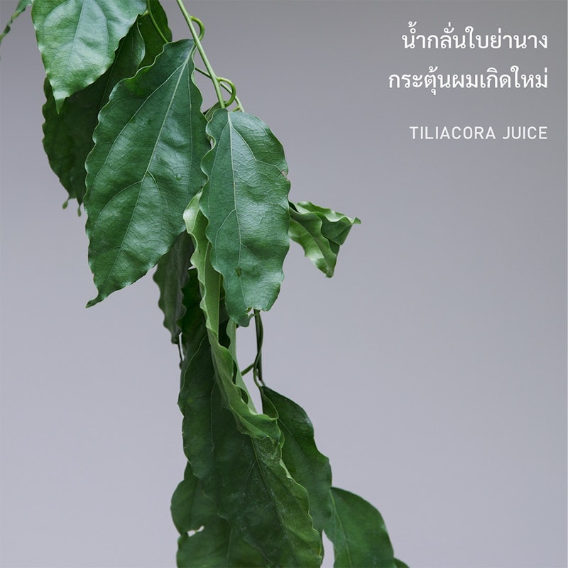 Organic Conditioner 3