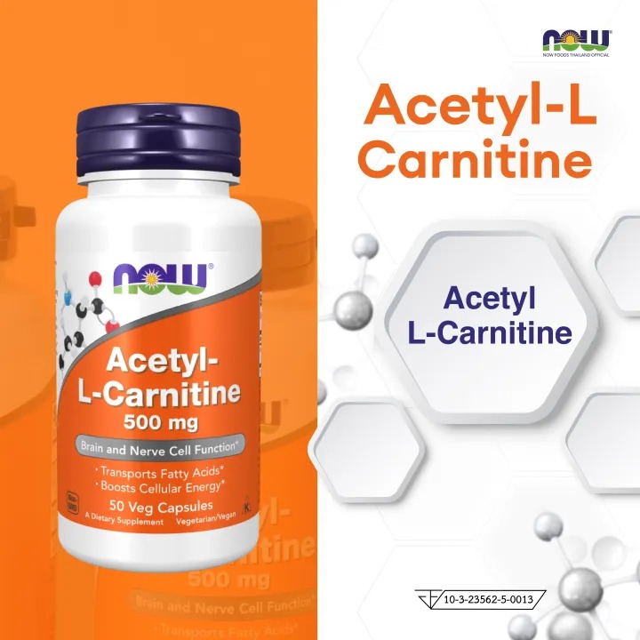 10 L-Carnitine ยี่ห้อไหนดี ปี 2026 แอลคาร์นิทีน ย่อยไขมัน