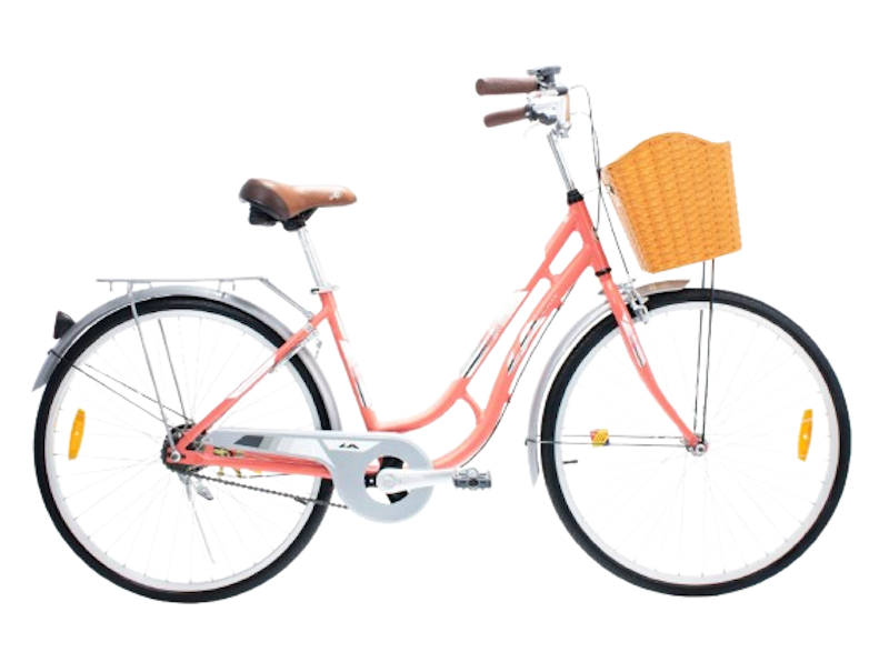 Colour Of Ride 26” 3