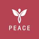 Peace Clinic โปรแกรมฉีดฟิลเลอร์ปาก 1