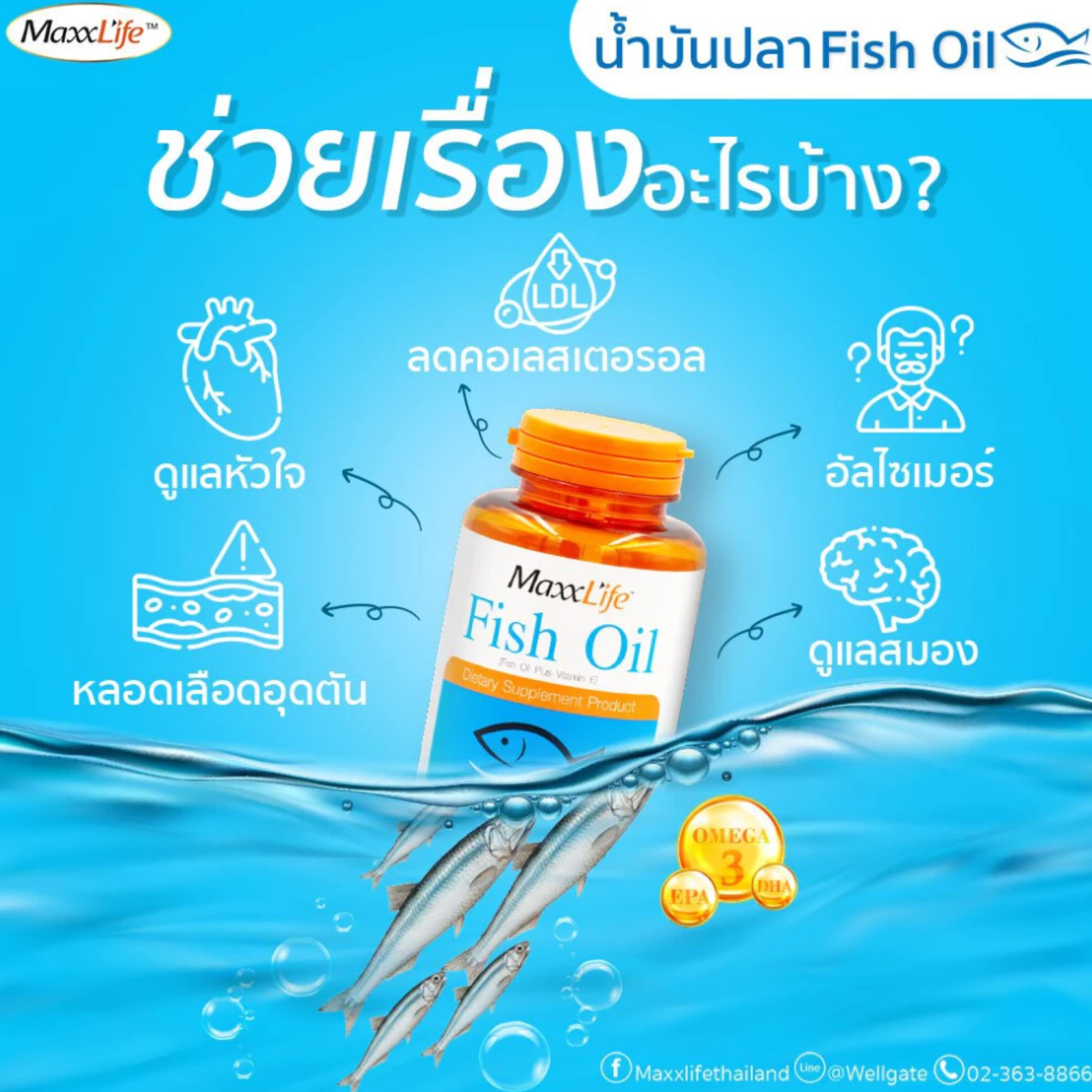 Fish Oil 2