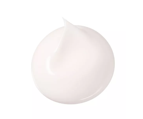 Advanced Protective Day Cream 3