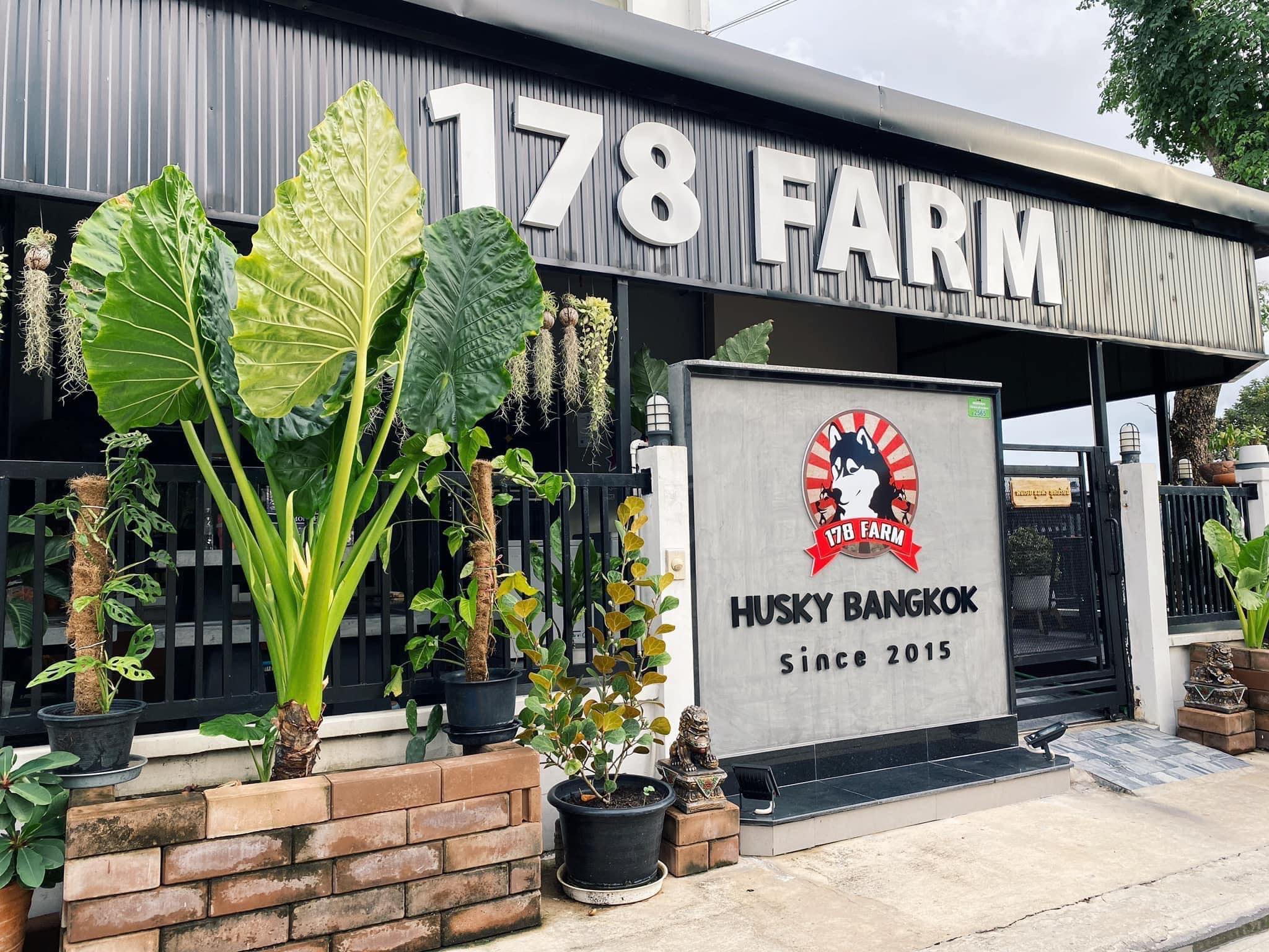 ฟาร์มสุนัข 178Farm Husky Bangkok 4