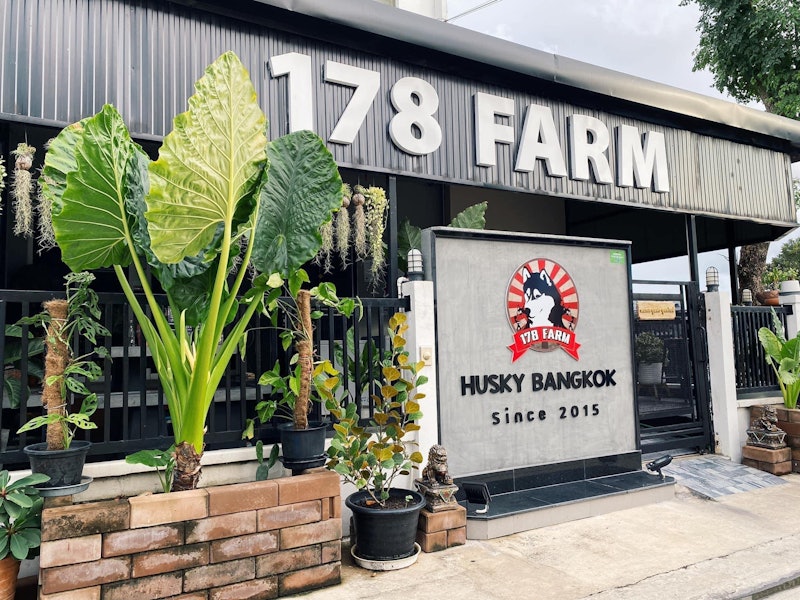 ฟาร์มสุนัข 178Farm Husky Bangkok 4
