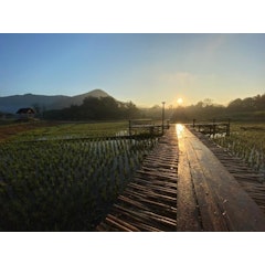 ที่พักดอยอินทนนท์ Chiang Mai Elephant Home