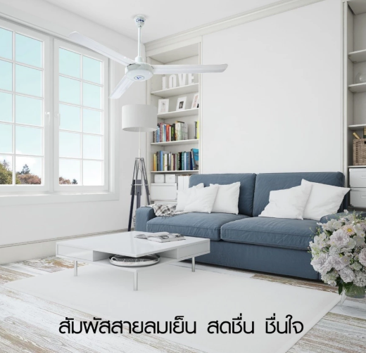 พัดลมเพดาน 3