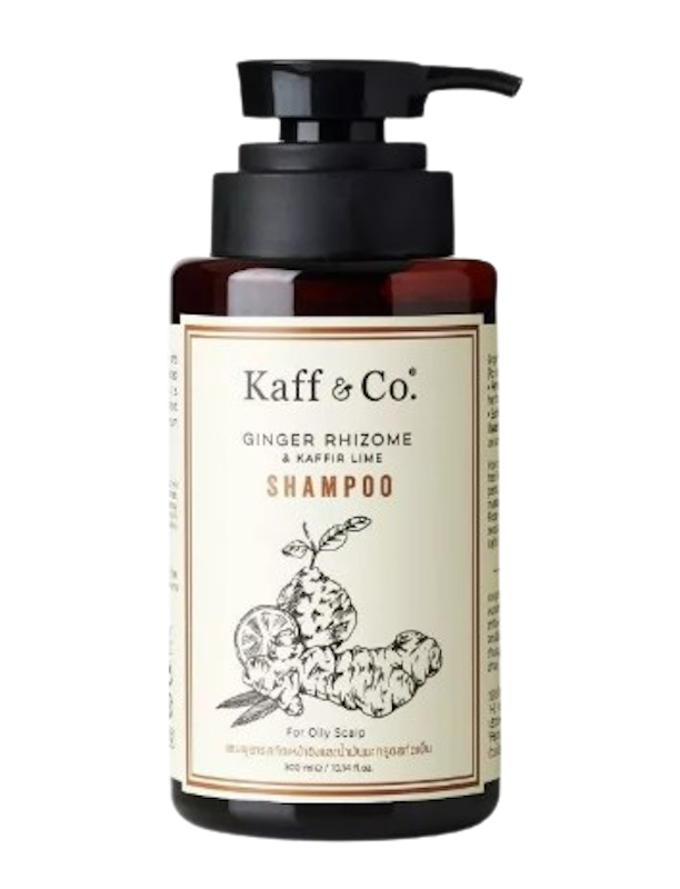 แชมพูสำหรับผมมัน Ginger Rhizome & Kaffir Lime Shampoo 1