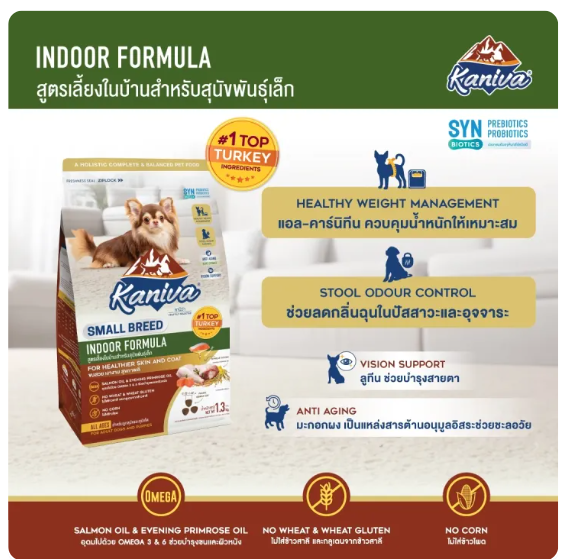 Indoor Small Breed Dog 2