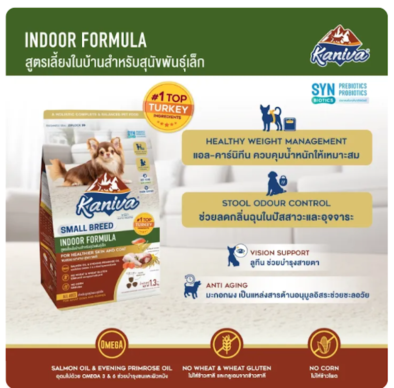 Indoor Small Breed Dog 2