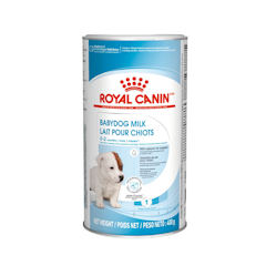 นมผงสุนัข Baby Dog Milk
