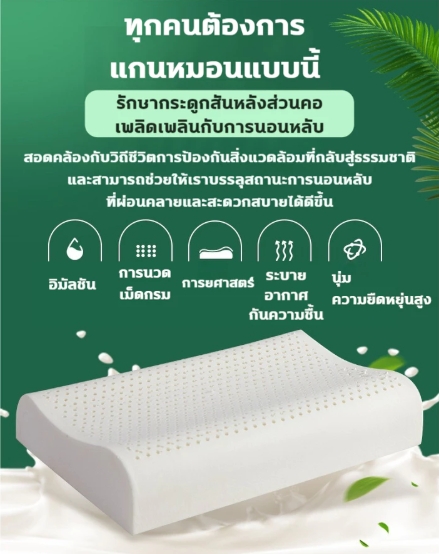 หมอนยางพารา 3