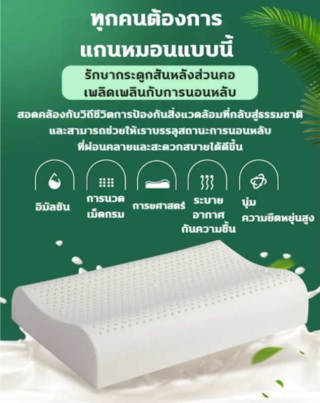 หมอนยางพารา 3