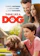 Gil Junger THINK LIKE A DOG 1