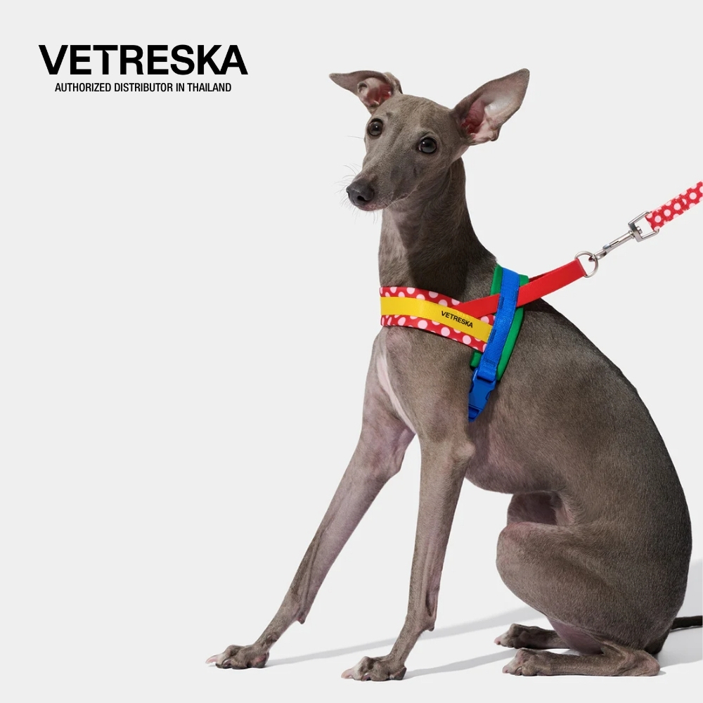 สายรัดอกสุนัข Chroma Pet Harness & Leash Set ขนาด S 3